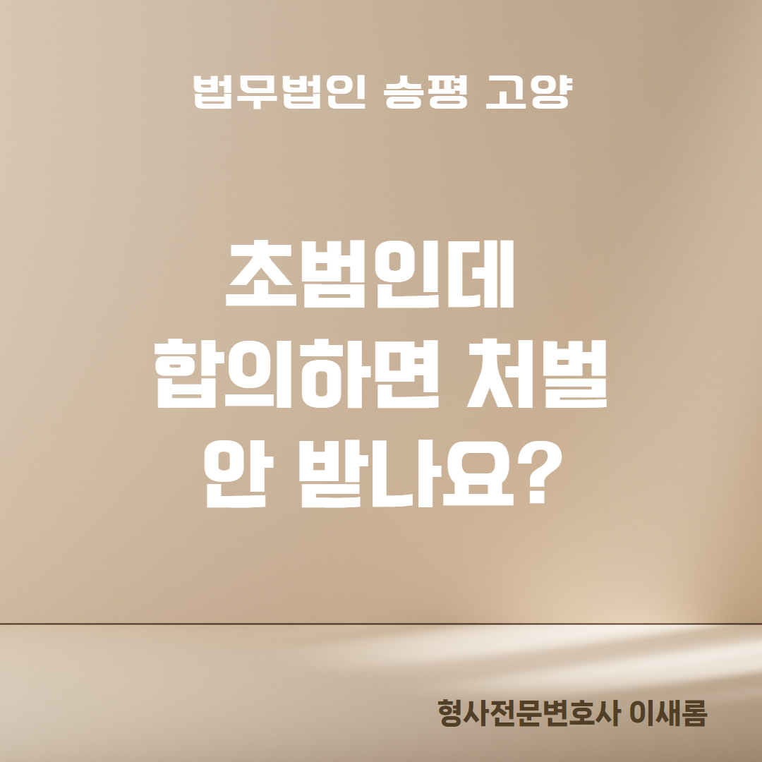 초범인데 합의하면 처벌 안 받나요? : 일산변호사예약
