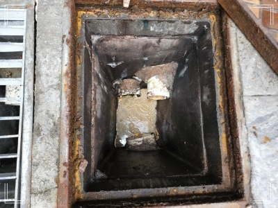 d88895de1a13a.png