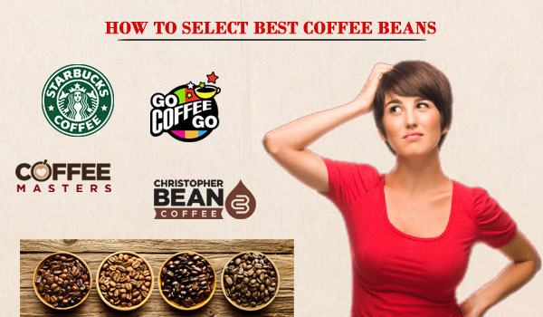 0beadcd5e74a4.png