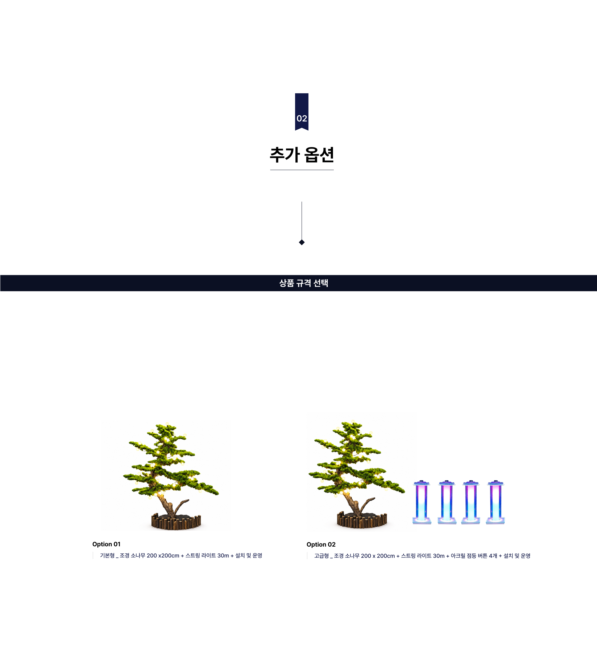 소나무 등불 퍼포먼스