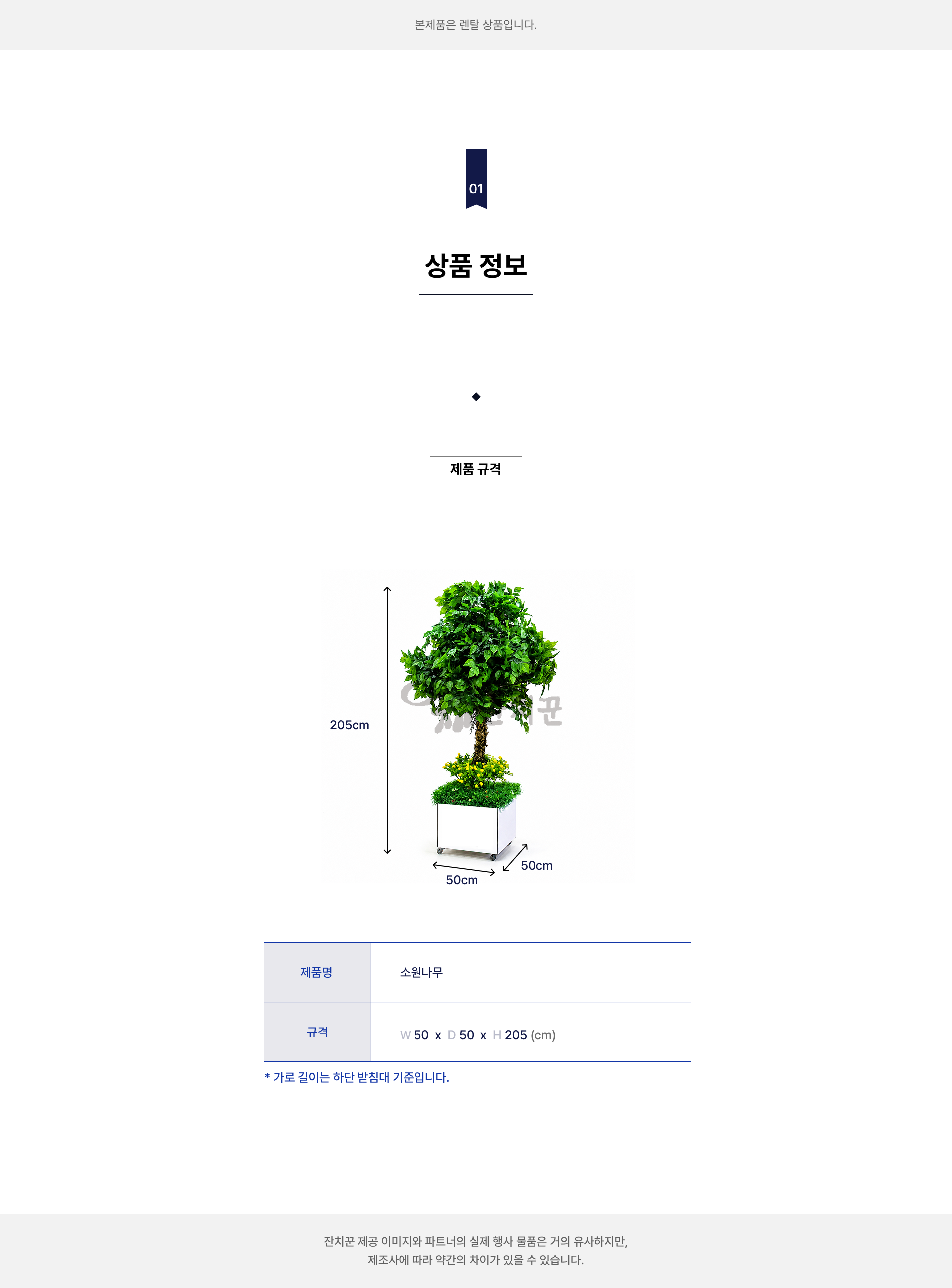 소원나무