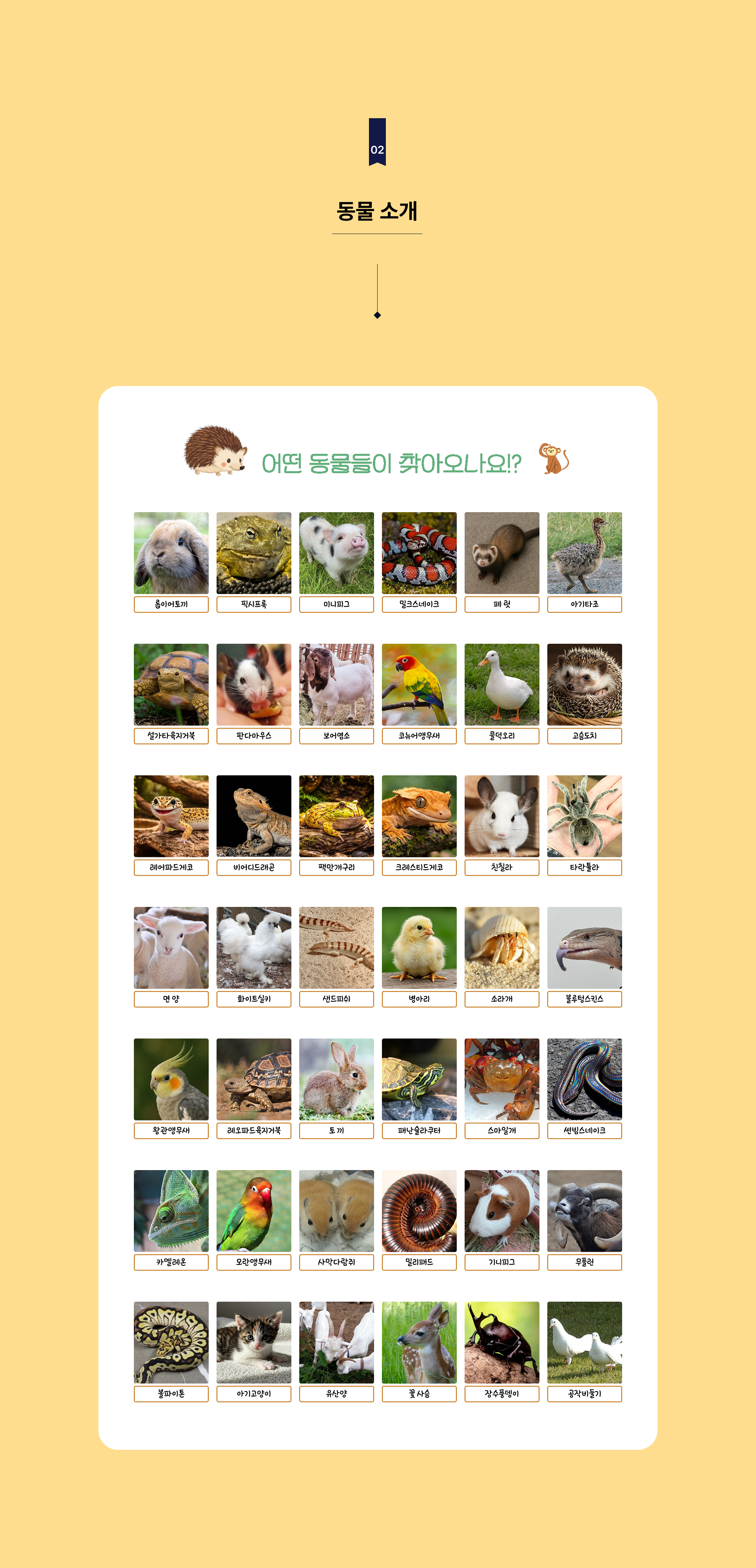 미니 동물원 체험