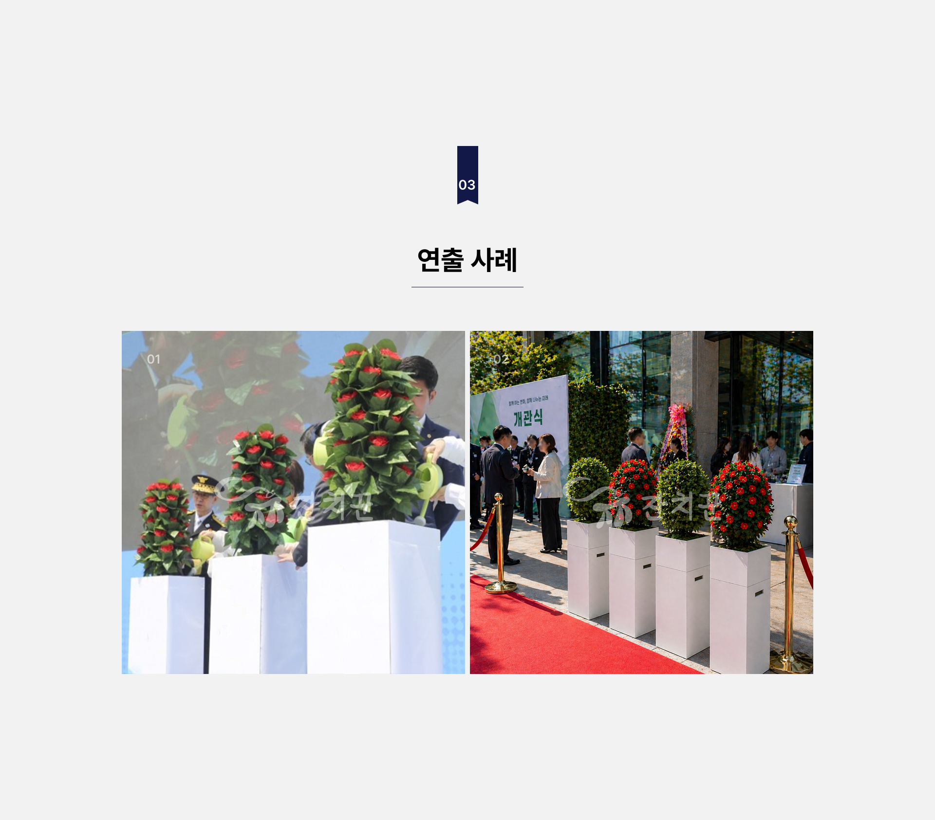 매직트리 퍼포먼스