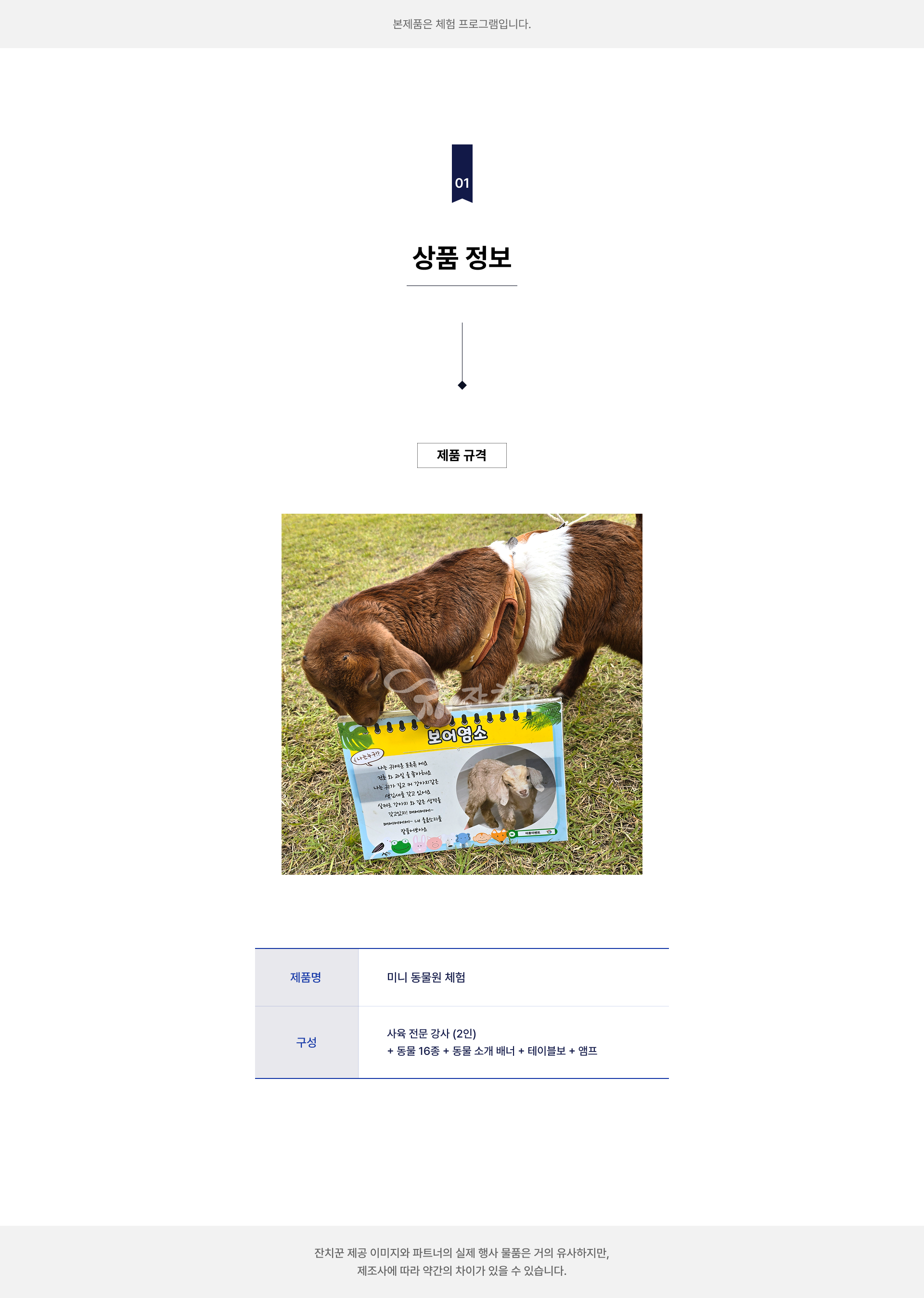미니 동물원 체험