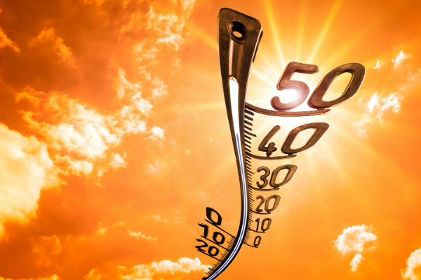 52ddd2b744f67.png