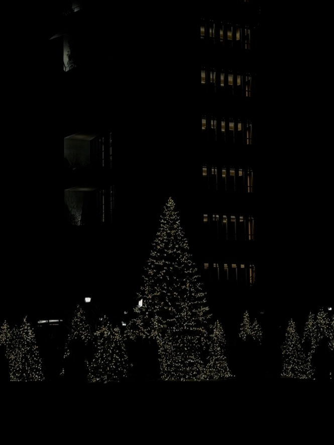 3614dbb9aff44.png