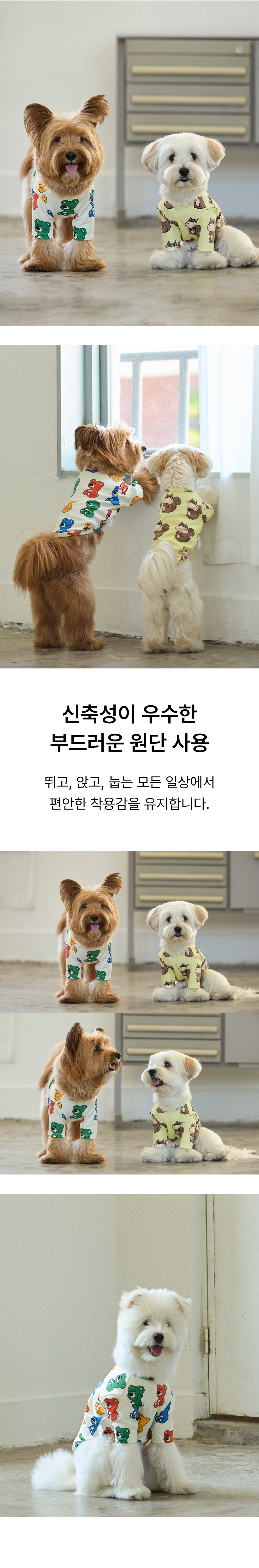 아이코닉 조이베어 반팔 : 레인보우
