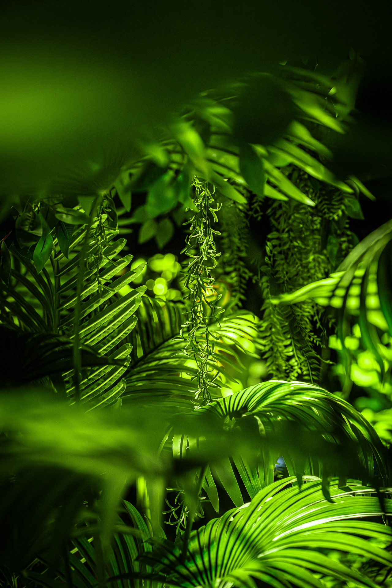 1a55e7892d06e.jpg