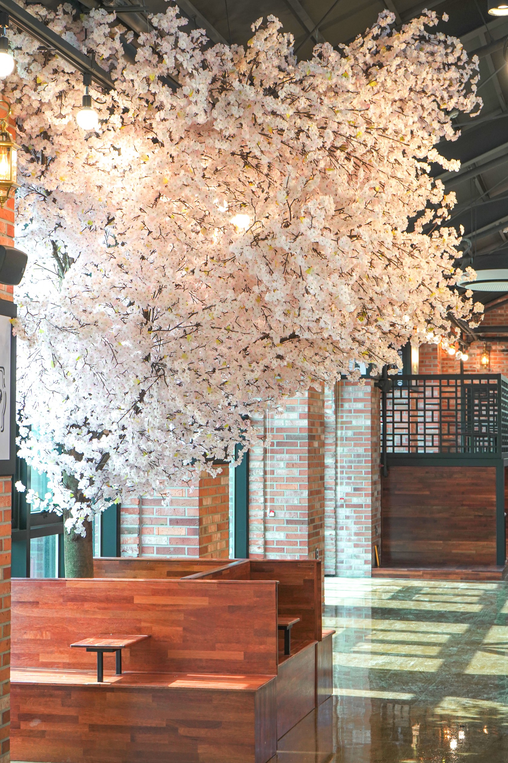 벚꽃나무 디자인 - 두구루