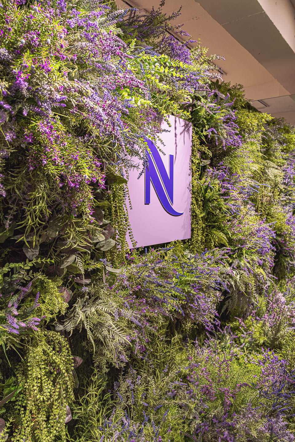 3491a22b0eb0f.jpg