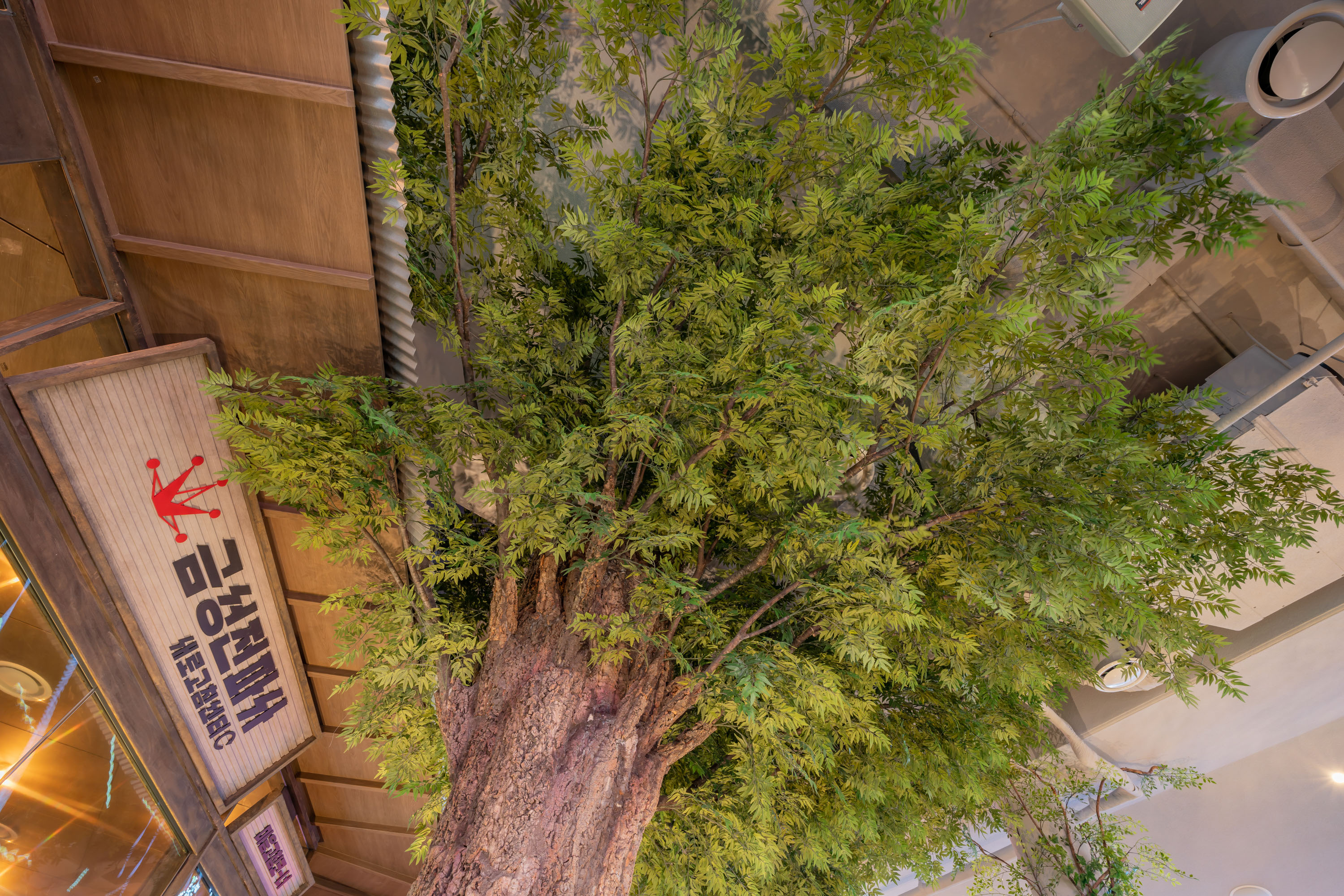 금성전파사 대형인조나무 위로 보는 관경