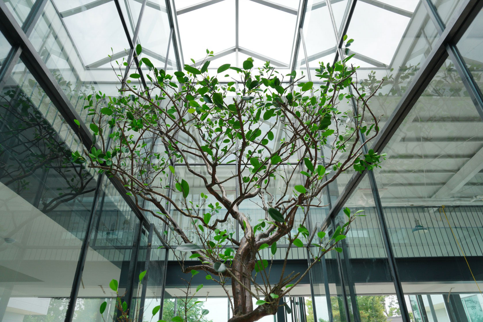 스튜디오 OP.33 창틀 사이의 아름다움 인조나무 인조배롱나무 - 두구루 