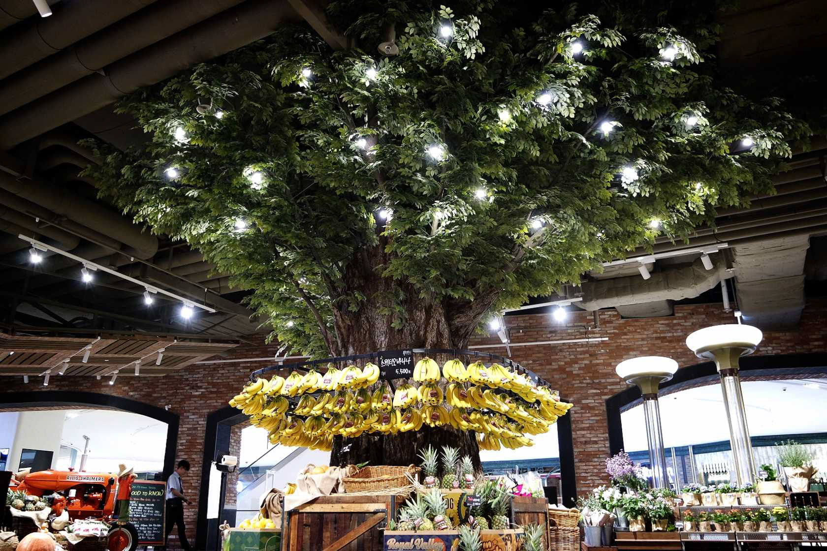 PK 마켓, 스타필드 고양점 - 대형 인조나무, 조화나무, 실내나무