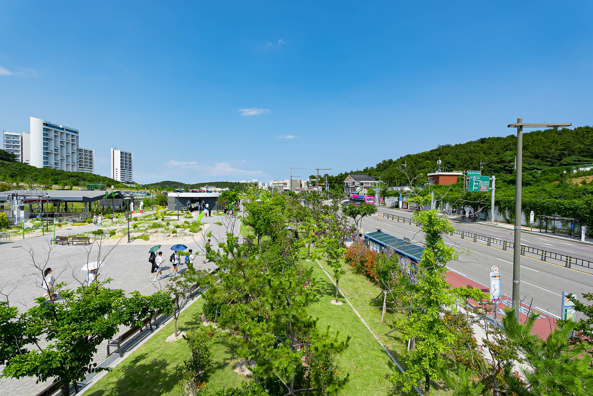 f825a711c149e.jpg