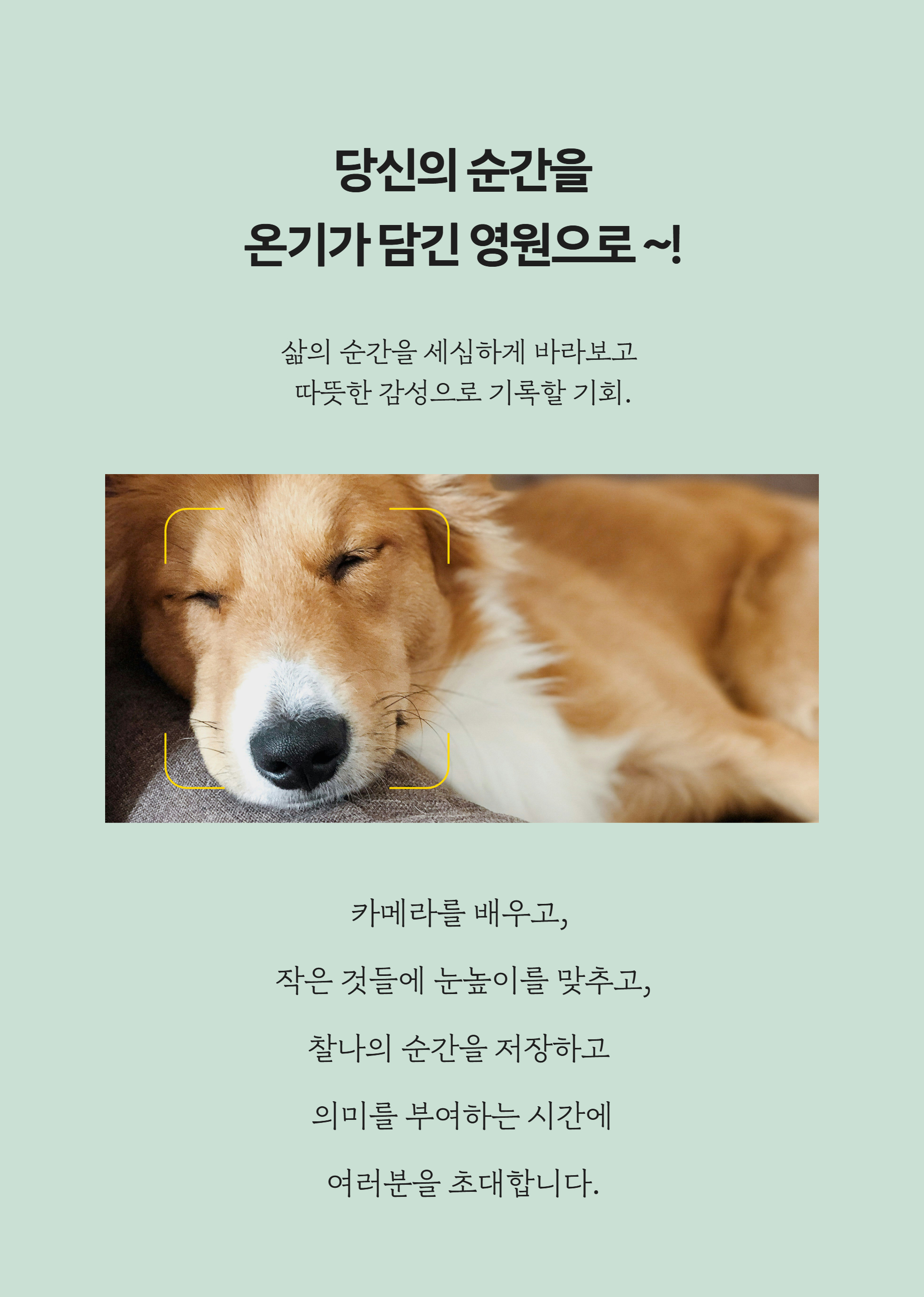 미러리스 카메라 입문 6월18~7월16일(5회) 18:30~20:30