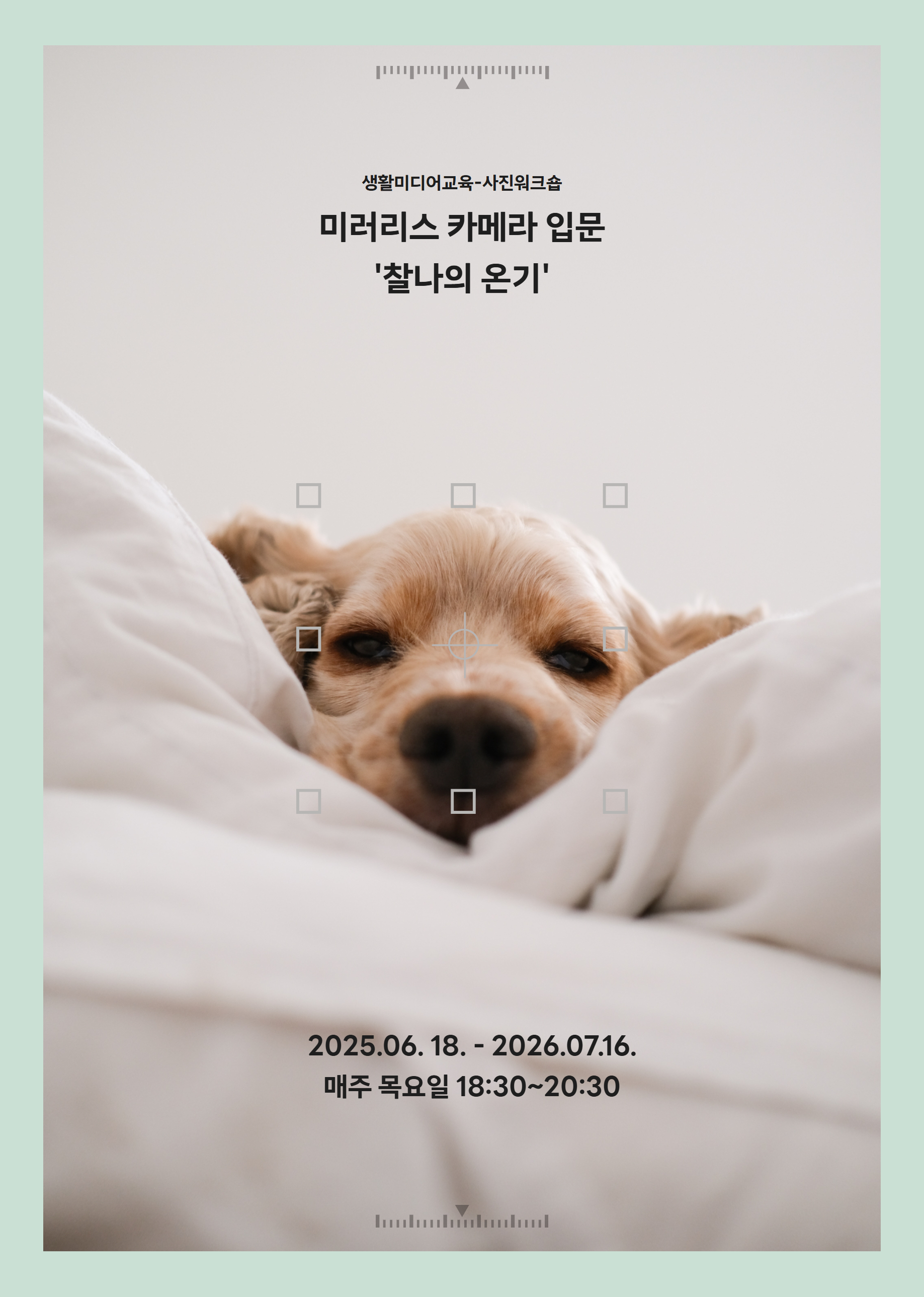 미러리스 카메라 입문 6월18~7월16일(5회) 18:30~20:30