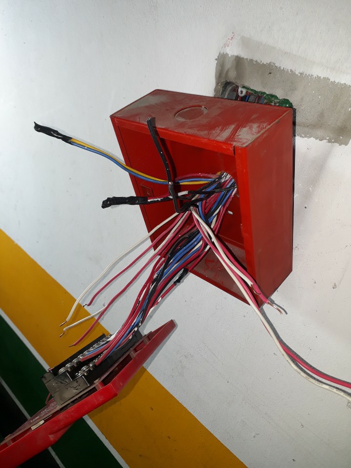 2cb49b8f397b8.jpg