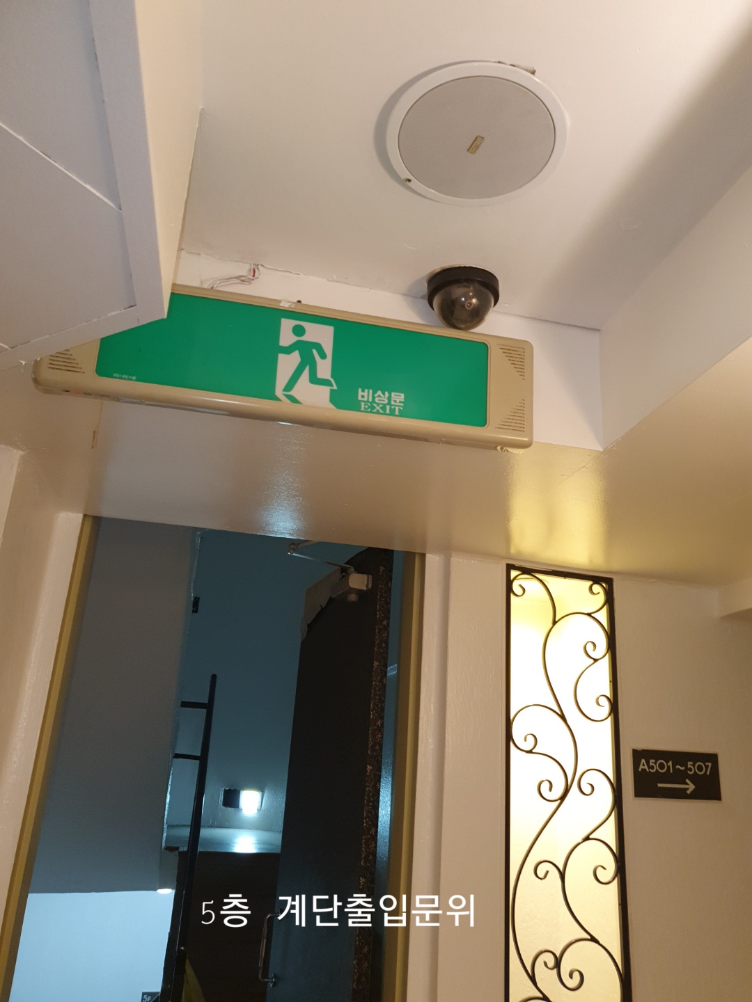 810ab3f60f50a.jpg
