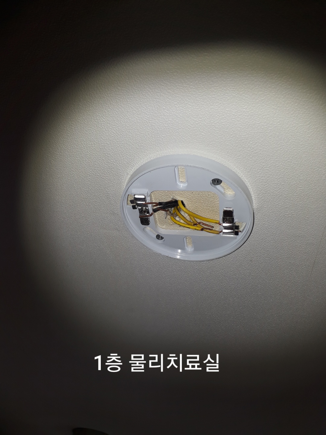 bc2fe44f07802.jpg