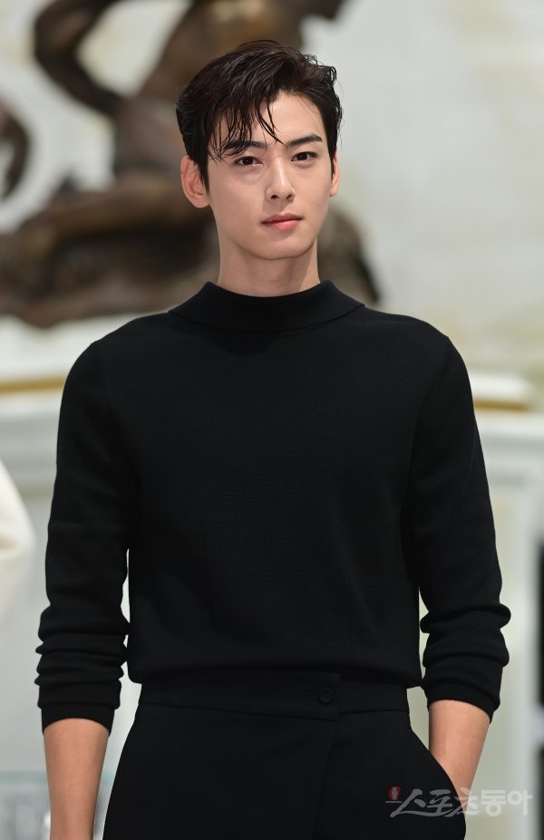 Cha Eun-Woo's face is heart-throbbing. : BoyGroup