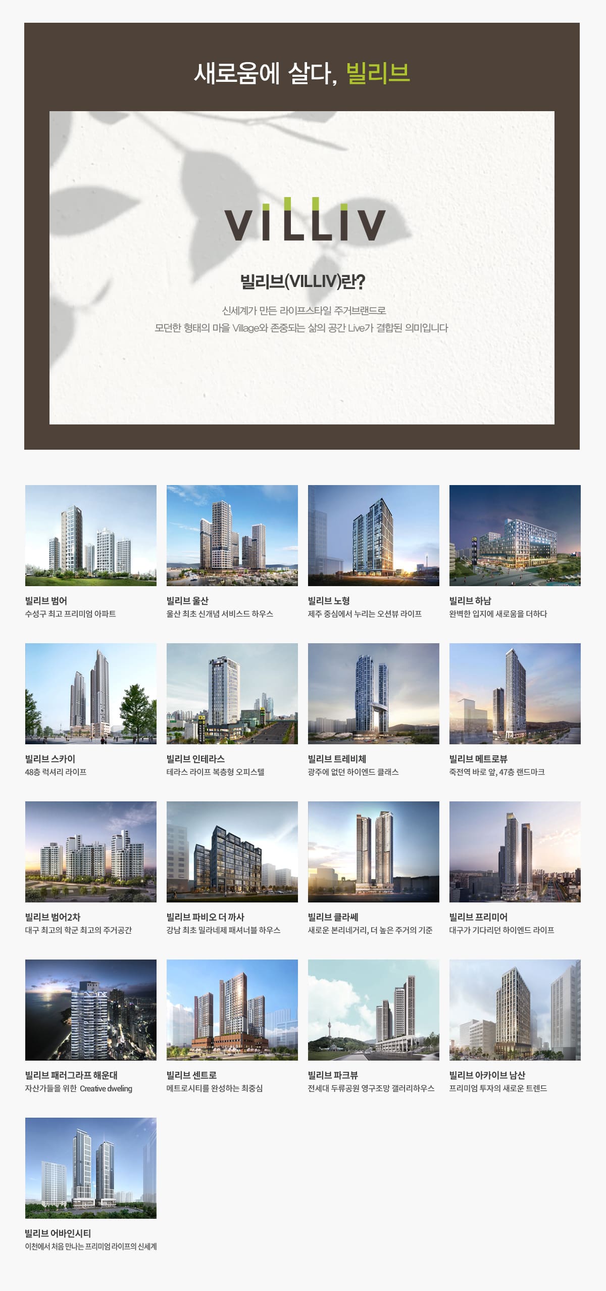 대구빌리브라디체 브랜드소개