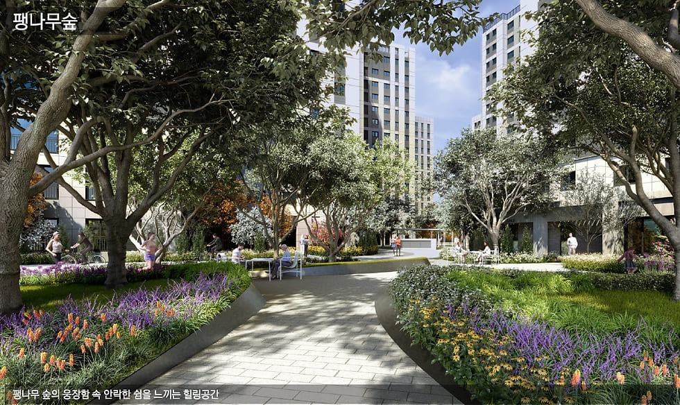 강릉 오션시티 아이파크 팽나무숲