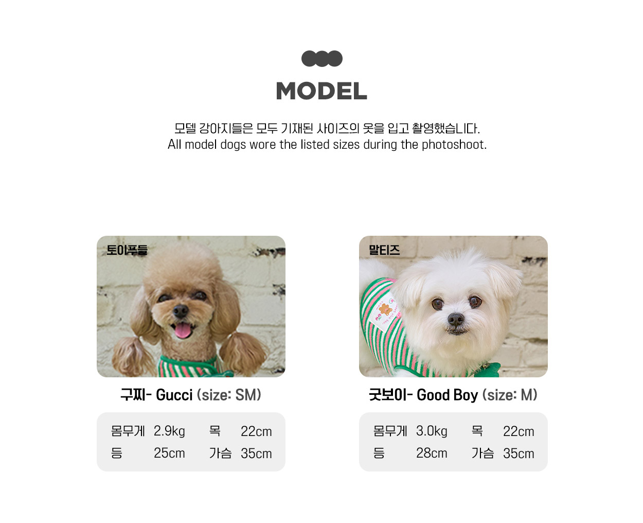Like a Bear Shooting Star Harness