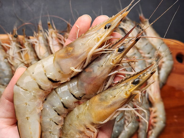 🦐국내산 연안 생물 자연산 대하 1kg🦐 : 명품농수산