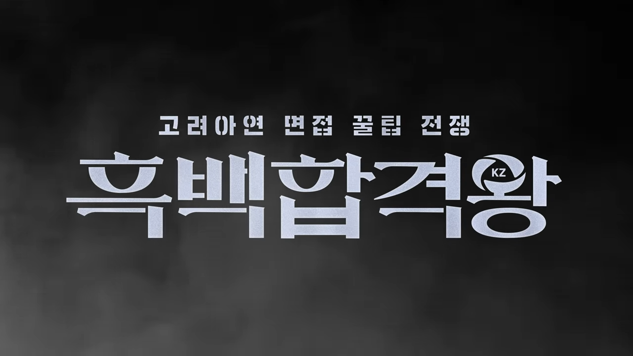 기업 채용 예능 영상