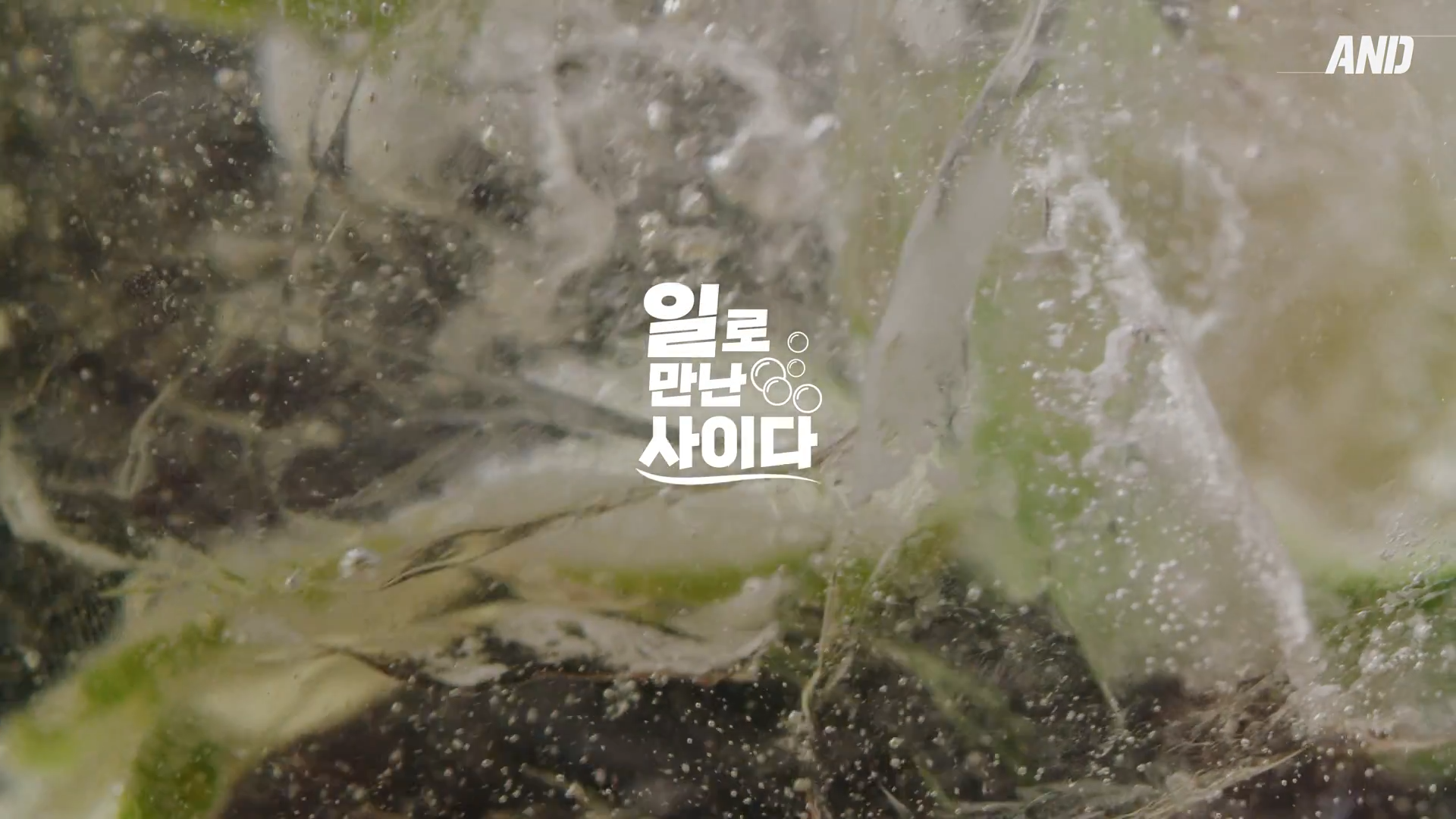 현직자 토크 영상