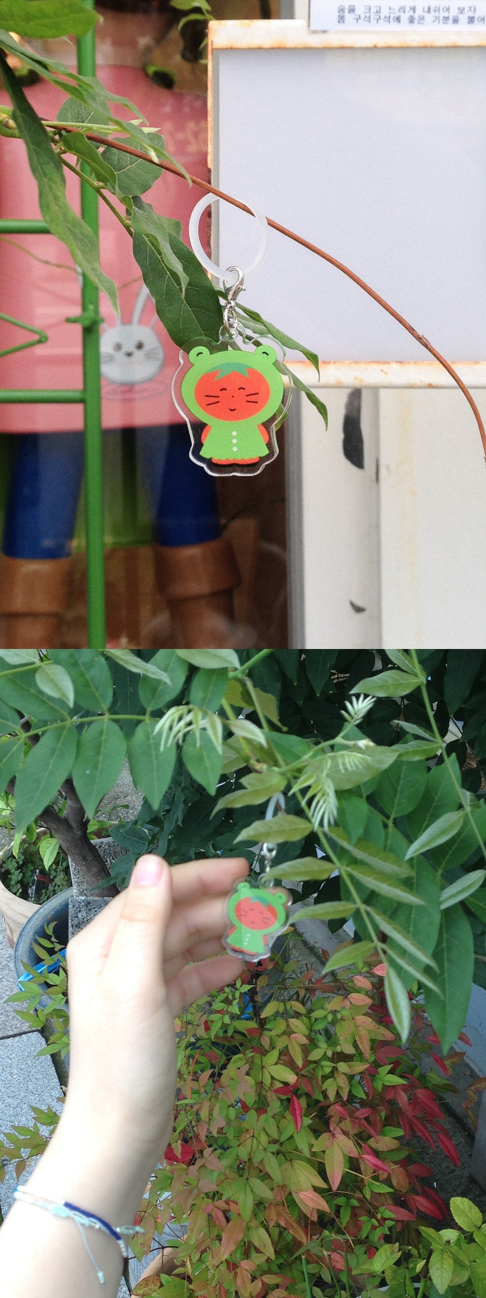 [메지루시] 잃어 버리지 마! 물건반지 - 개구리우비 토마토 네코