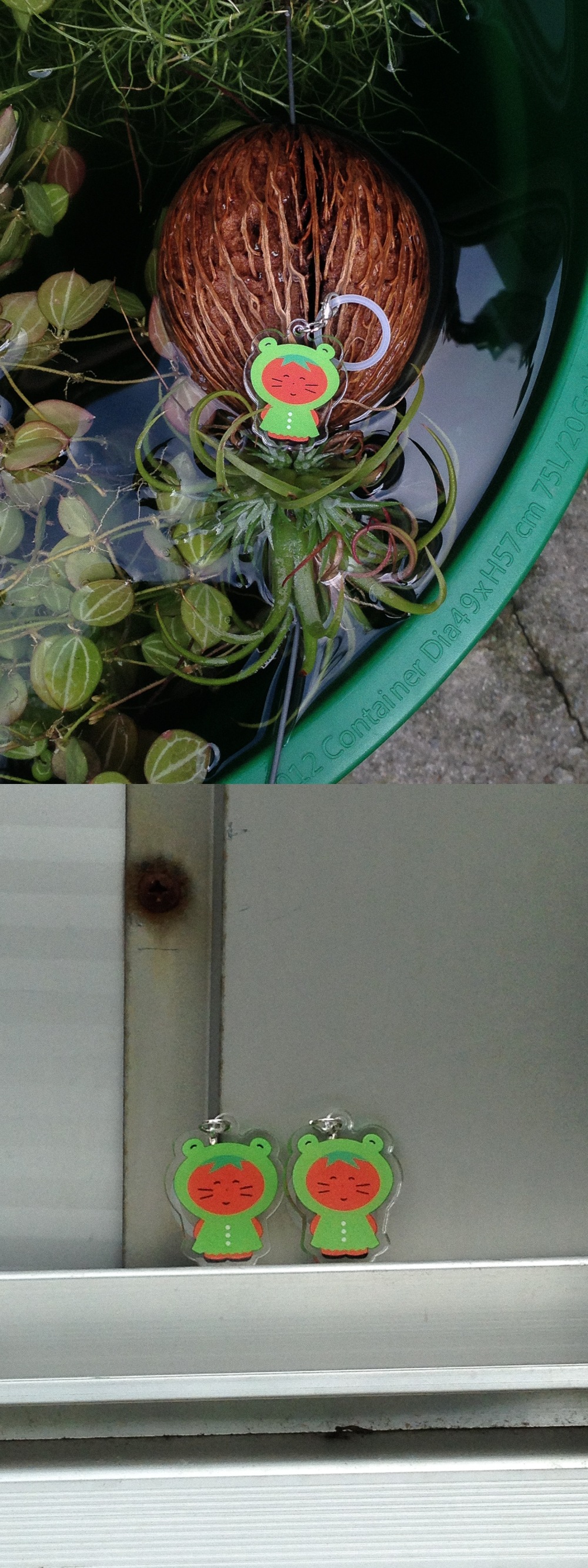 [메지루시] 잃어 버리지 마! 물건반지 - 개구리우비 토마토 네코