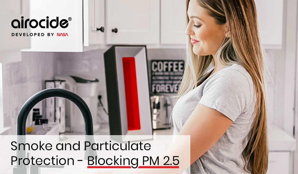 Smoke and Particulate Protection -  Blocking PM 2.5