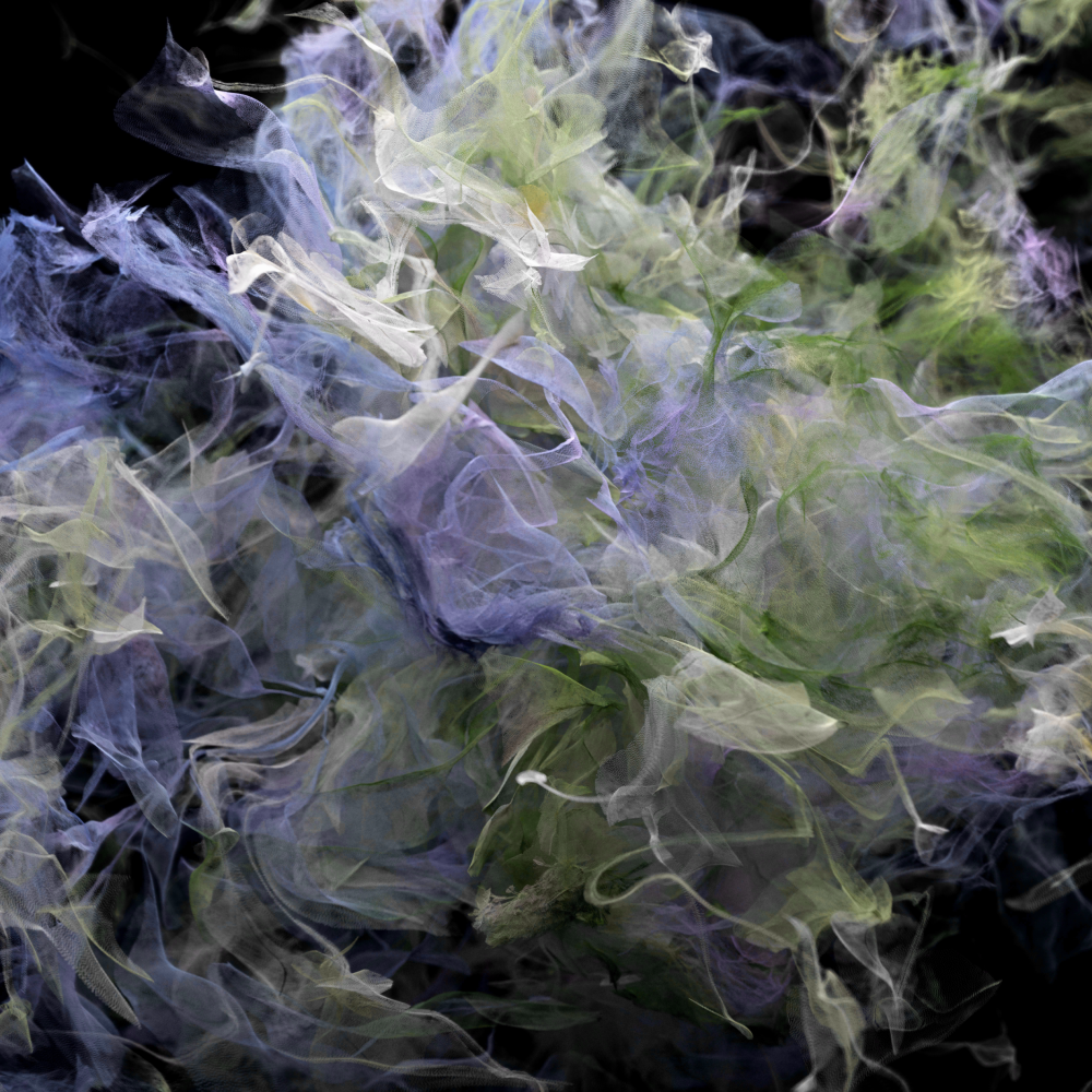 0776ff8f1fb8a.png