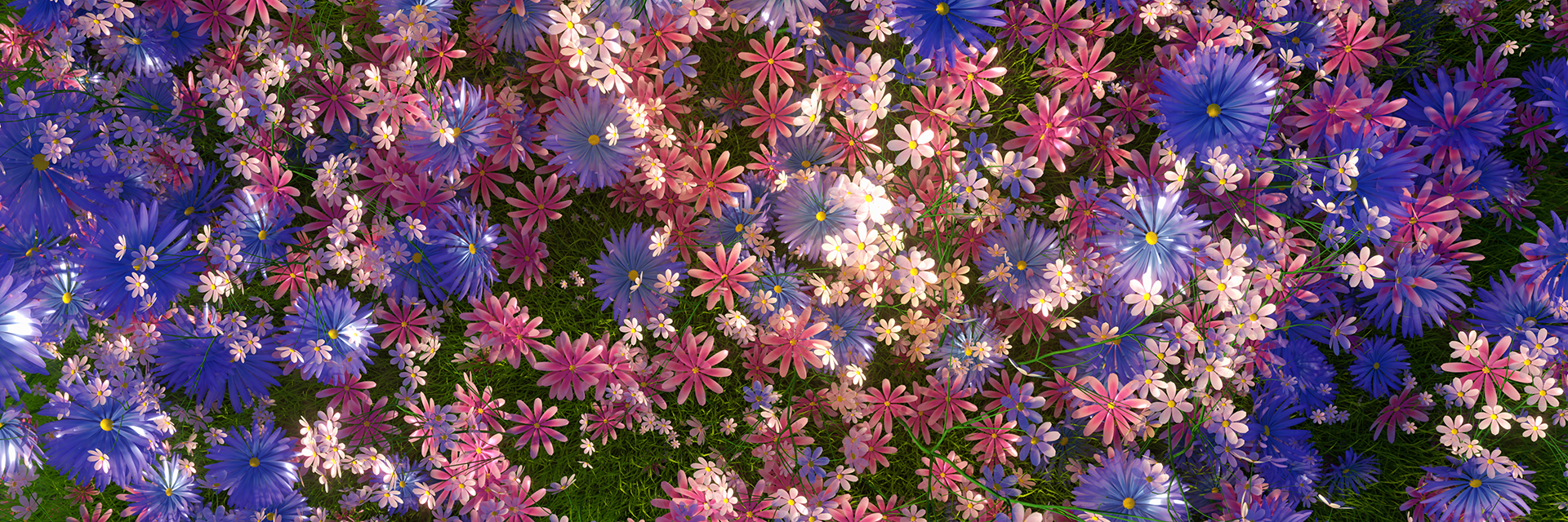 7a48e8d764677.png