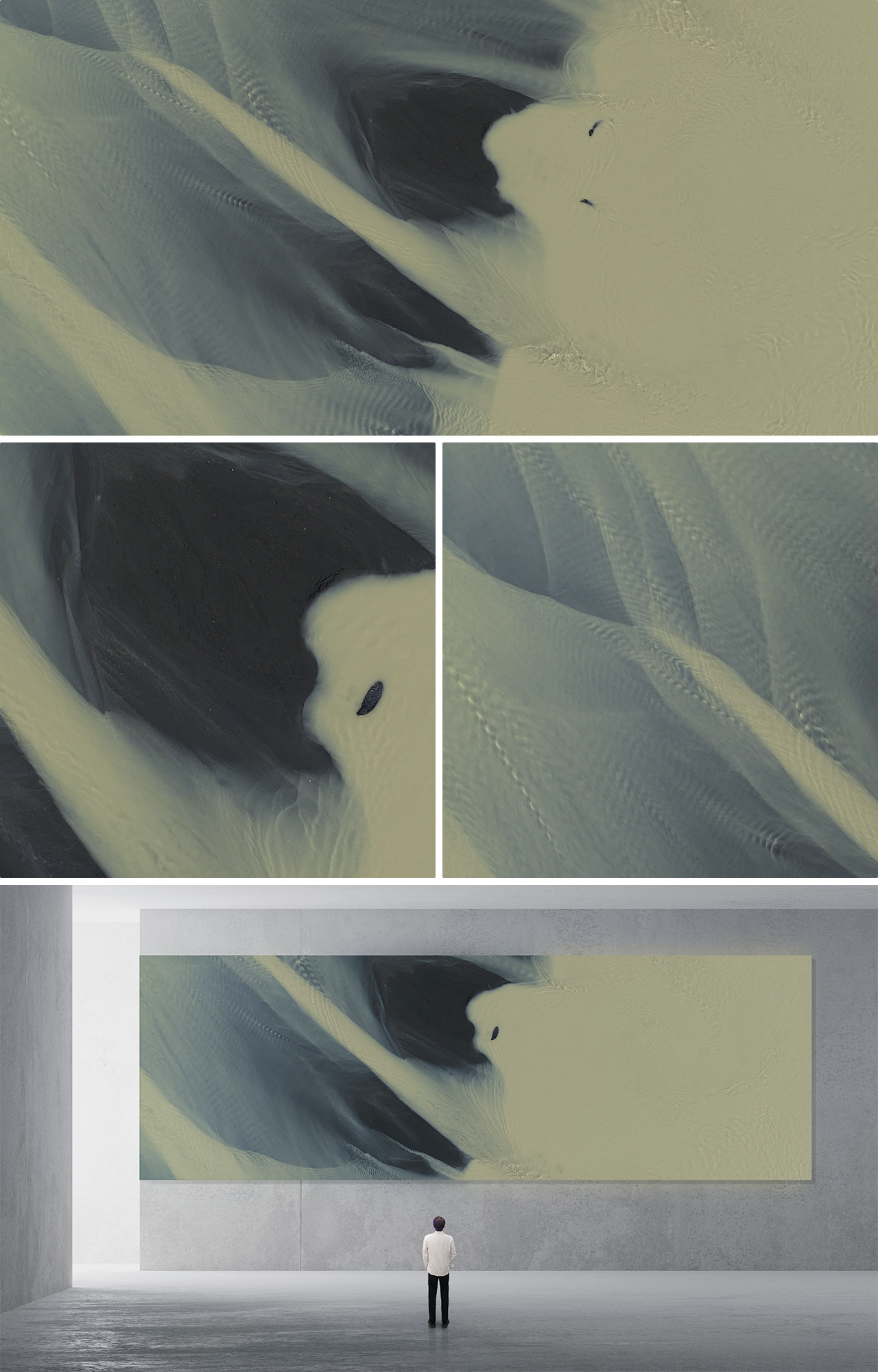 SEALS AND SEDIMENTS #1