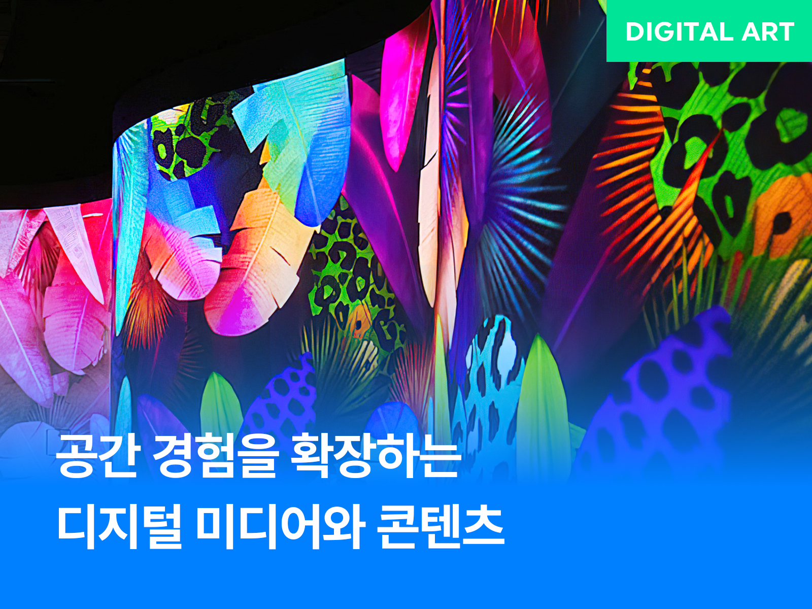 ad2ee354cc851.png