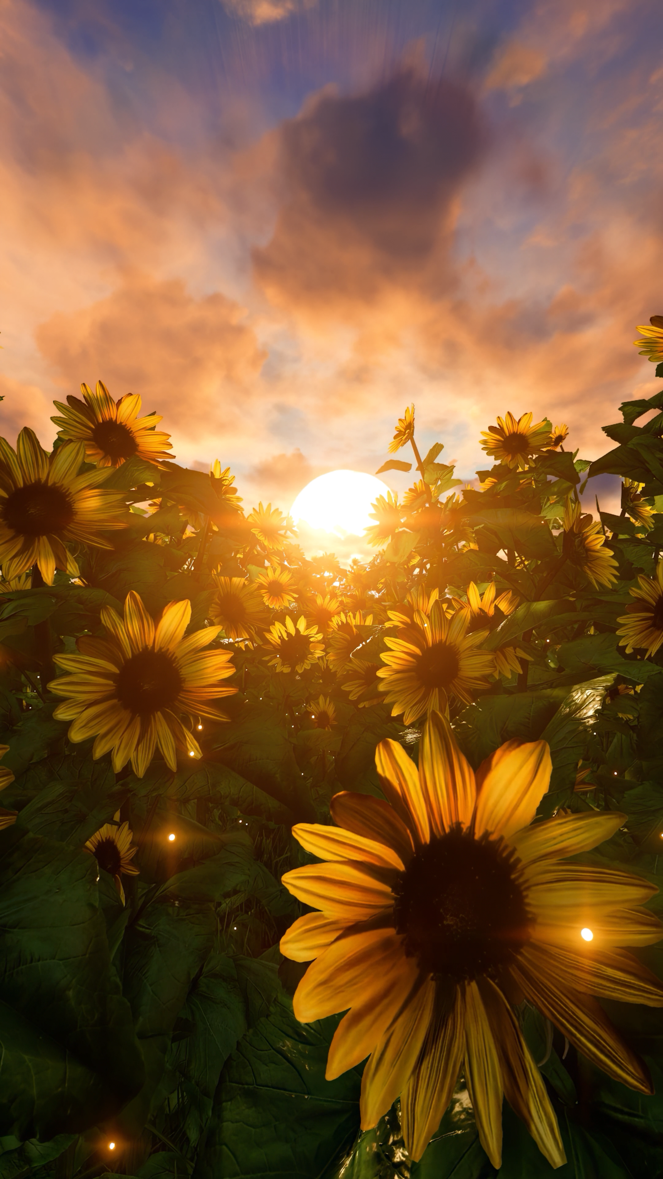 c21f85a0d2f4b.png