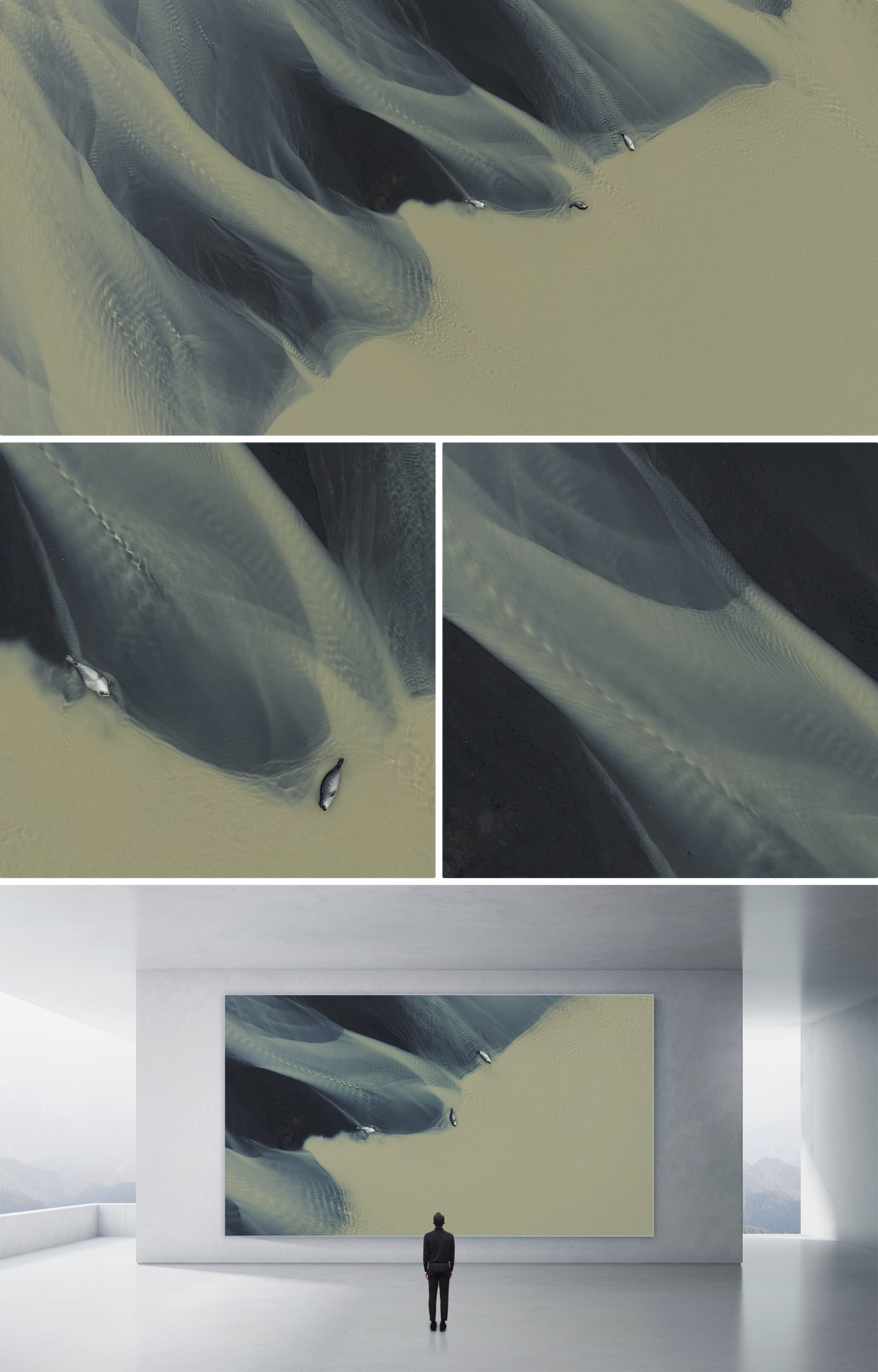 SEALS AND SEDIMENTS #3