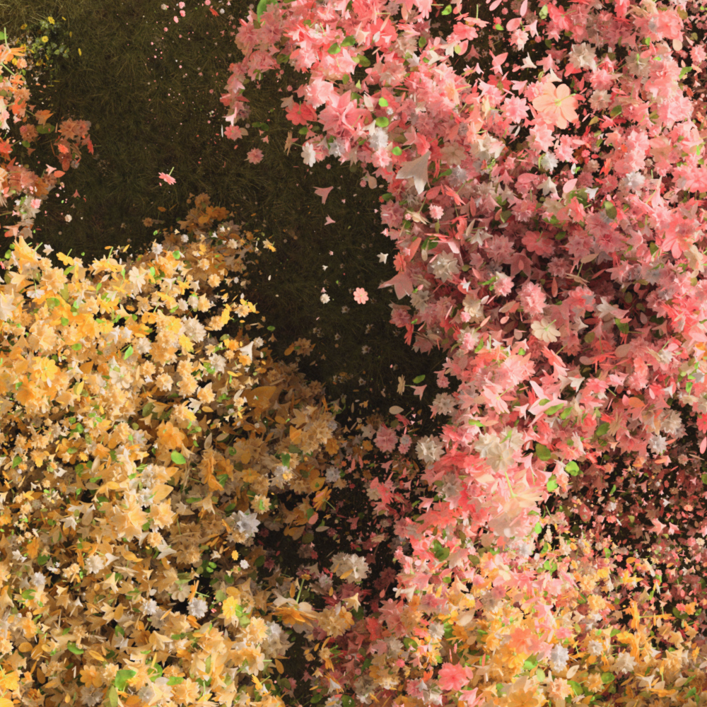 cea3fa3f252c8.png