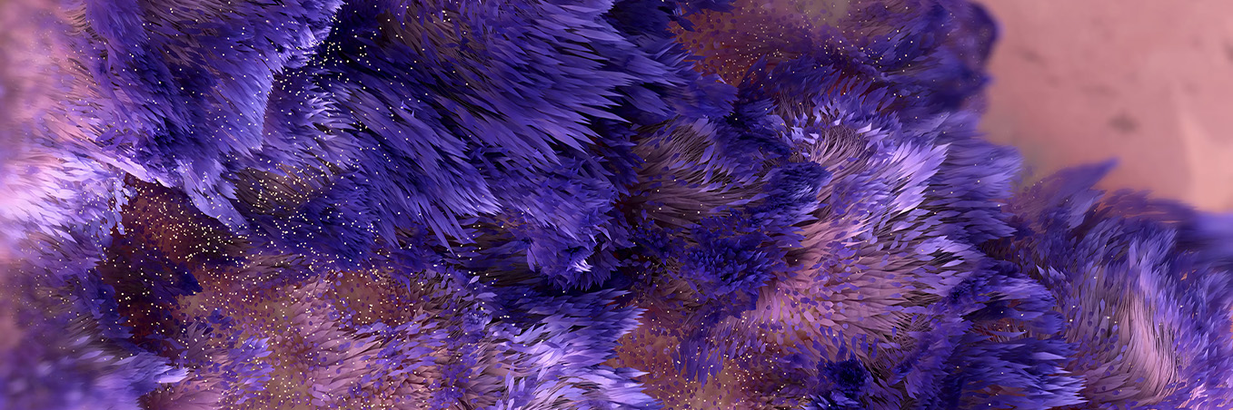 d3d46d426b732.jpg