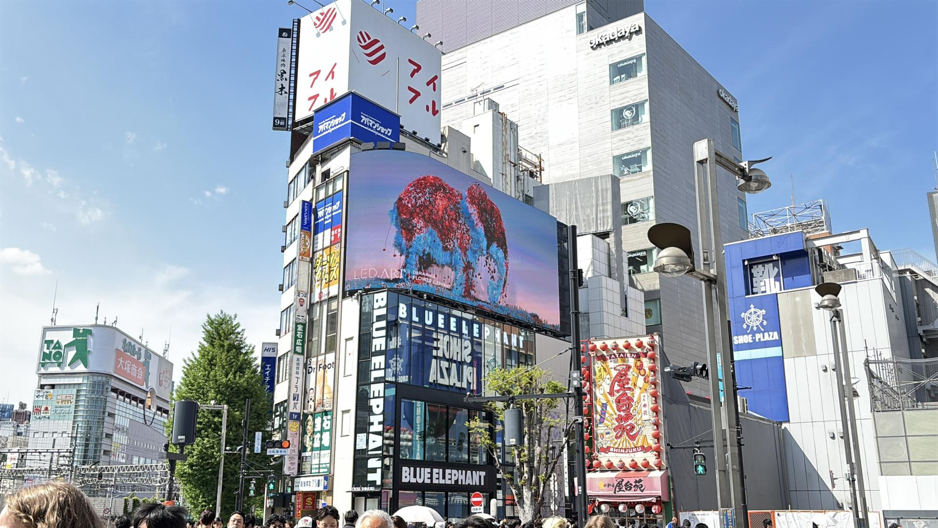 d5734f07e4be0.png