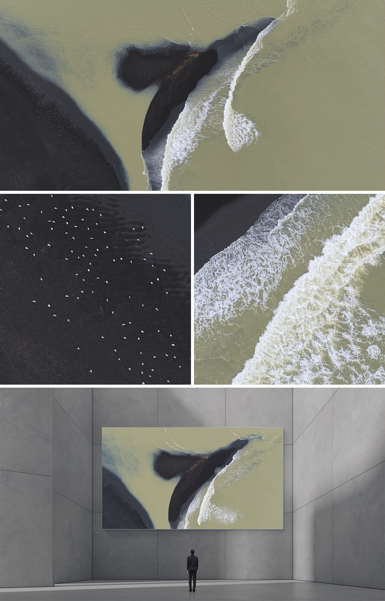 TIDAL SAND FORMS #1