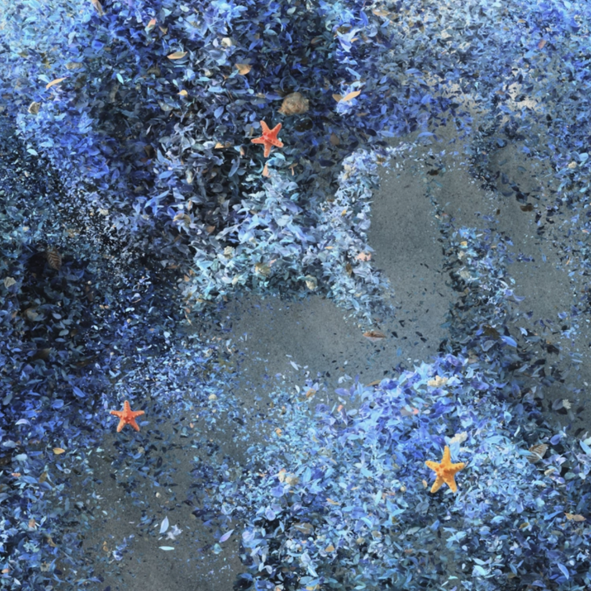 ff9aba5d764e5.png