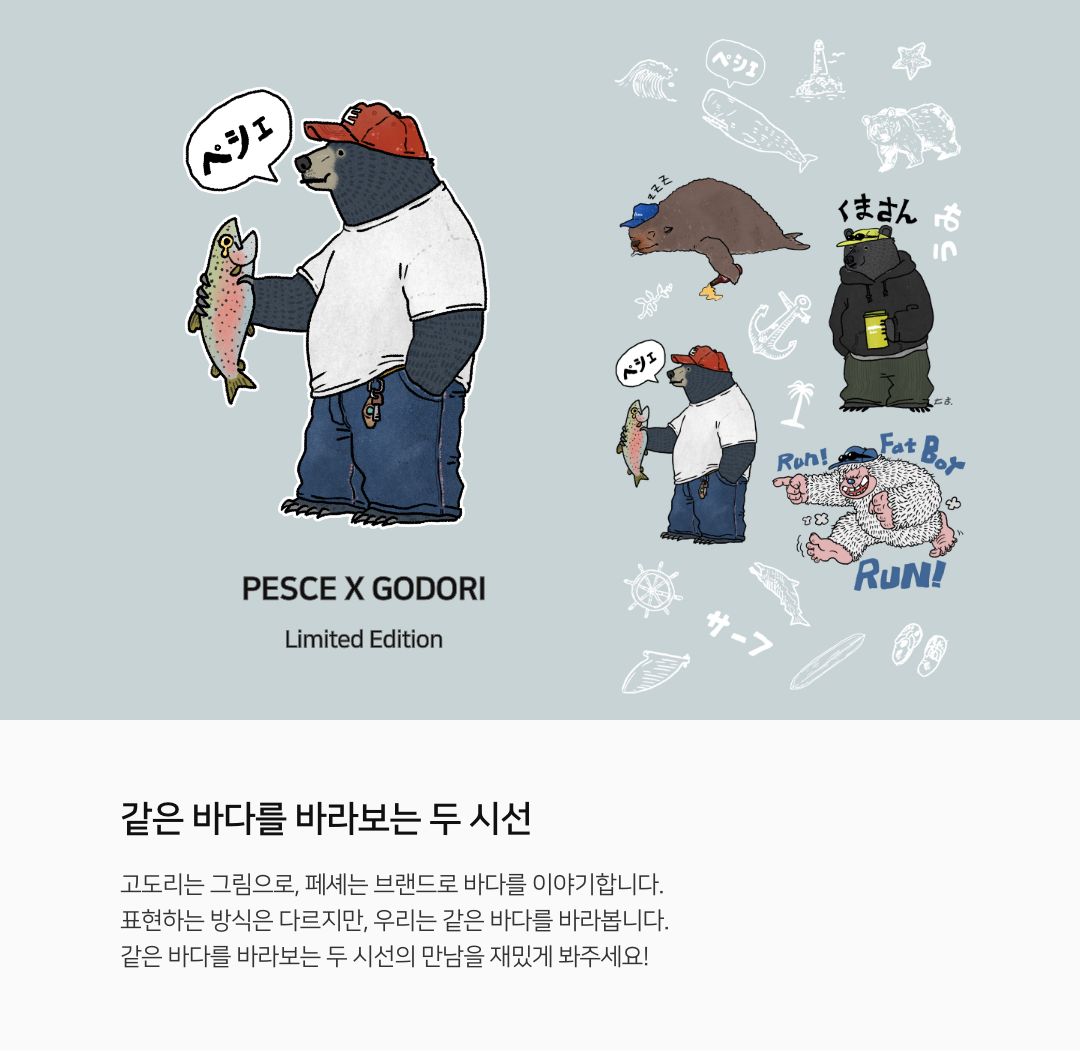 白(백) Heavy Cotton : Bear