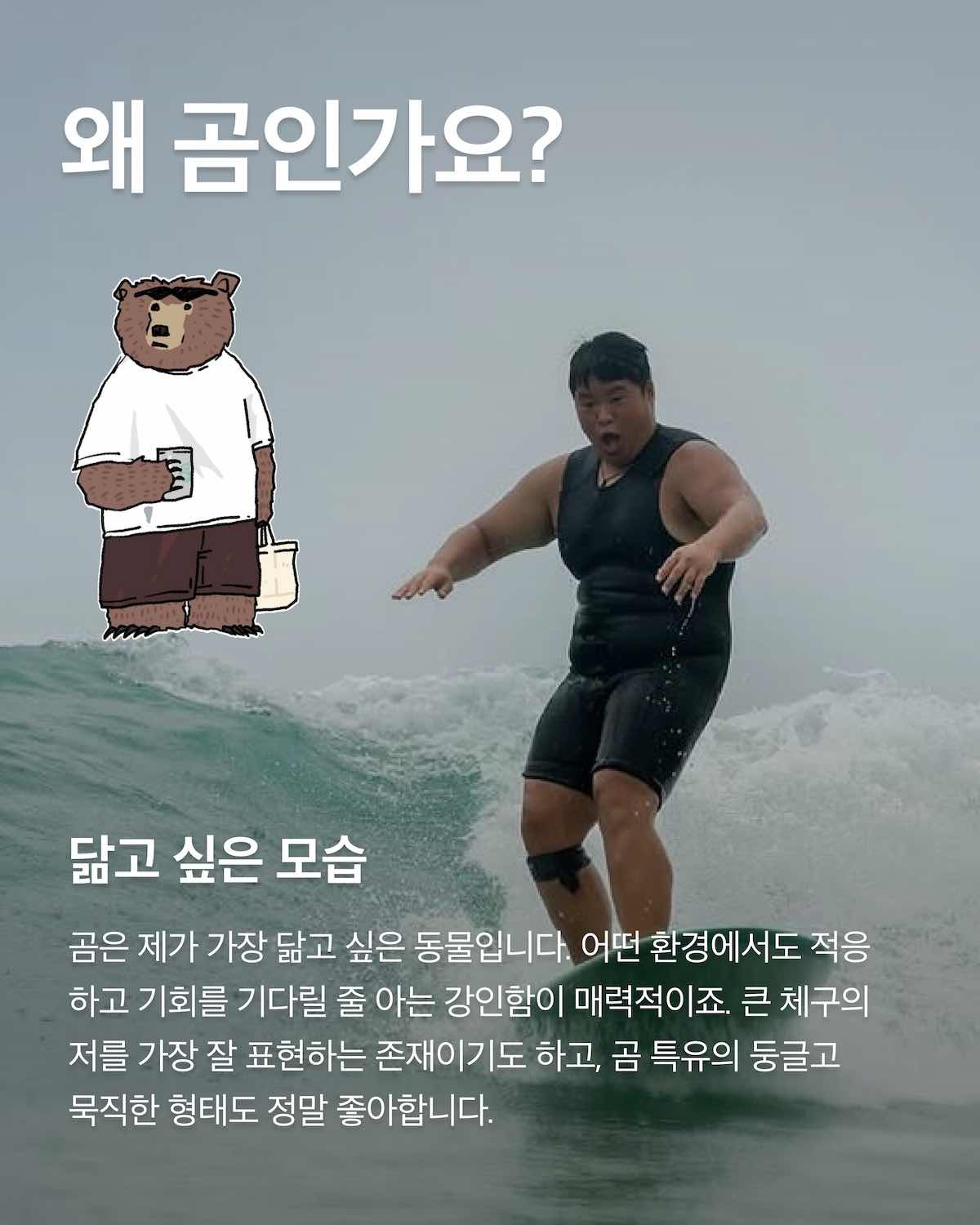 e95313e58d3e3.jpeg