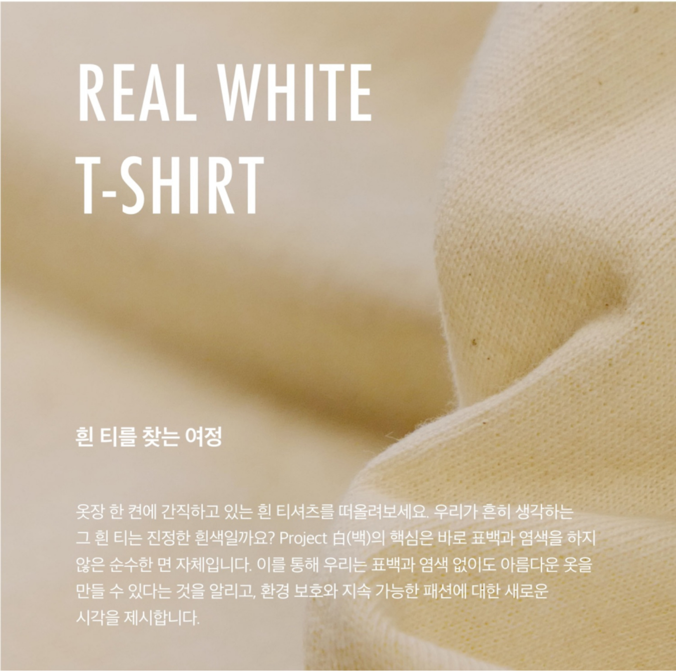 [...] 白(백) T Shirt