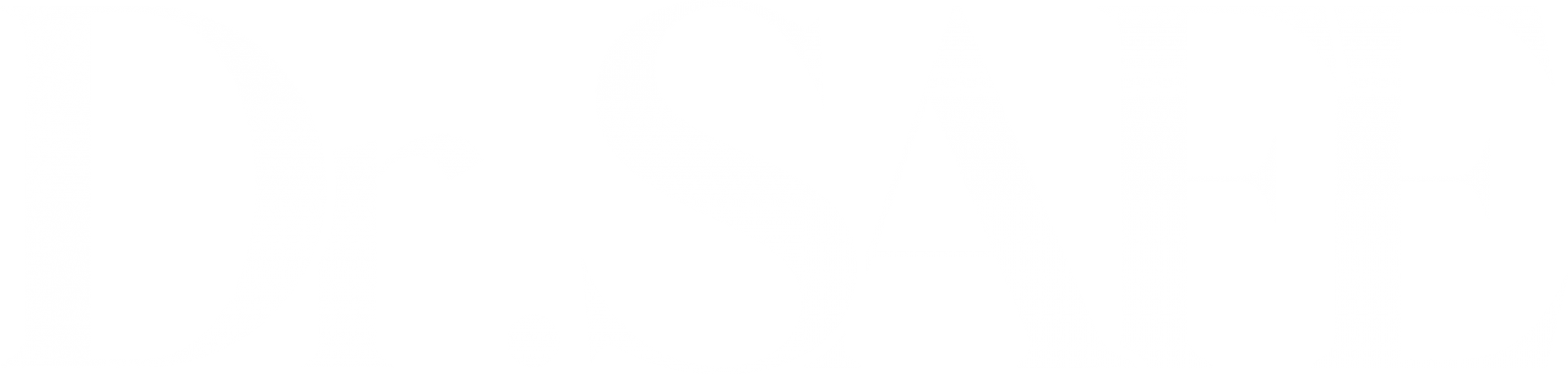 Dr.SAFE