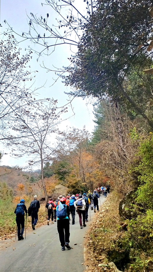 11c8d709aadcf.jpg