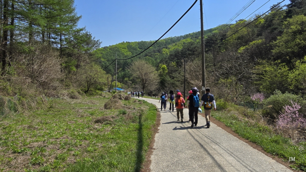 174dce274334d.jpg